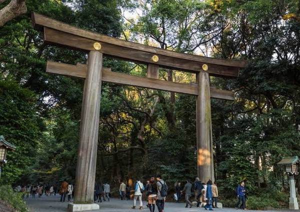 Shrines of Tokyo cover