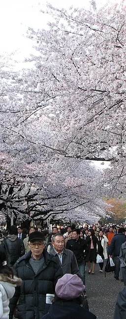 Ueno Park