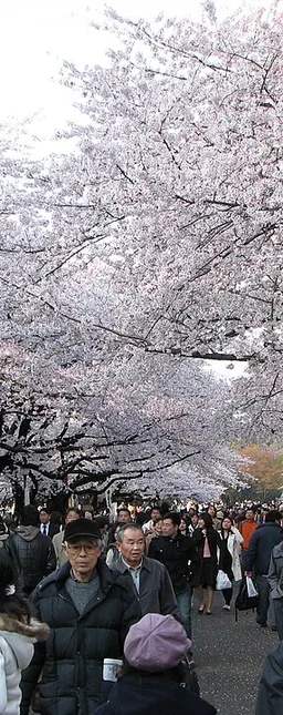 Ueno Park
