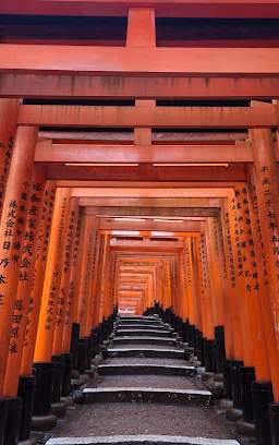 Thousand Torii Gates
