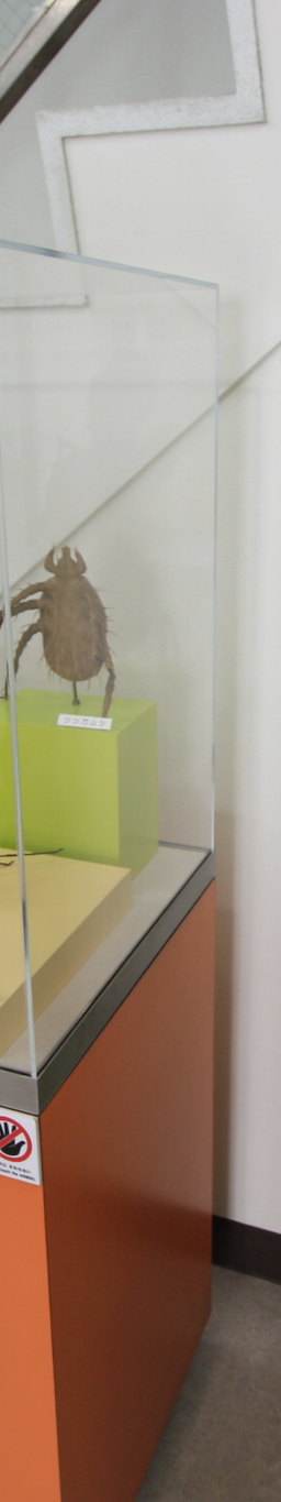Memory image 2